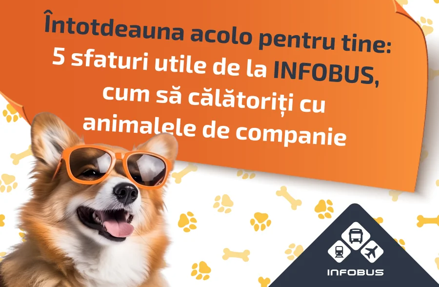 Întotdeauna aici pentru tine: 5 sfaturi utile de la INFOBUS, cum să călătorești cu animalele de companie